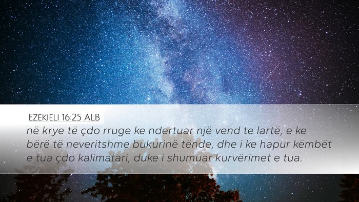 Ezekieli 16:25 ALB Desktop Wallpaper - në krye të çdo rruge ke ndertuar një vend te - Desktop Bible Verse Wallpaper