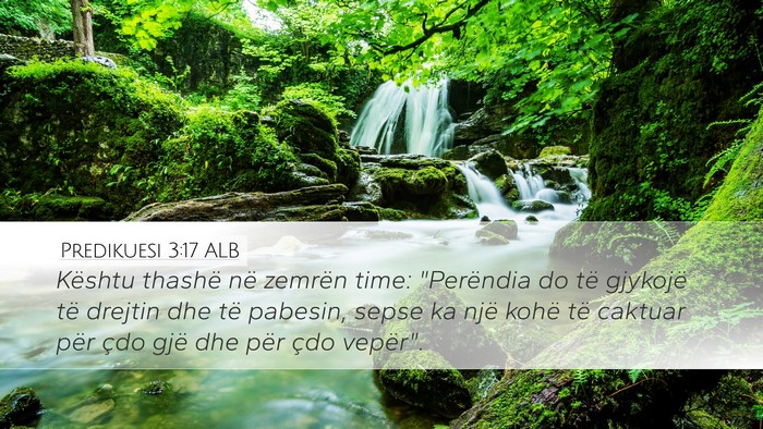 Predikuesi 3:17 ALB Bible Verse Image