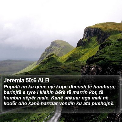 Jeremia 50:6 ALB Bible Verse Image