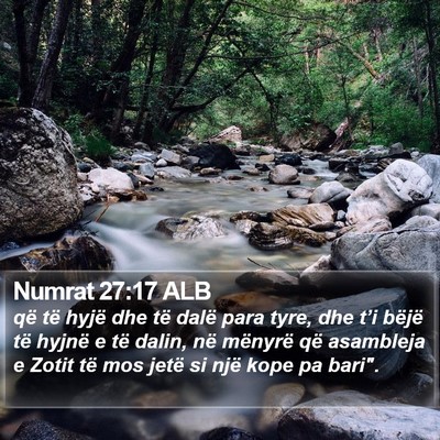 Numrat 27:17 ALB Bible Verse Image