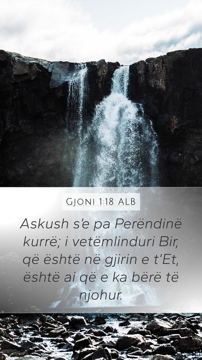 Gjoni 1:18 ALB Mobile Phone Wallpaper - Askush s’e pa Perëndinë kurrë; i - Mobile Bible Verse Wallpaper