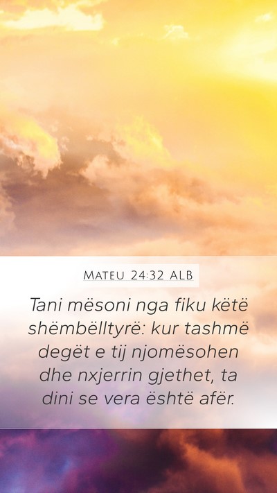 Mateu 24:32 ALB Mobile Phone Wallpaper - Tani mësoni nga fiku këtë shëmbëlltyrë: kur - Mobile Bible Verse Wallpaper