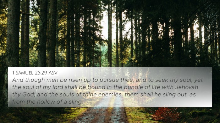 1 Samuel 25:29 ASV 4K Wallpaper - And though men be risen up to pursue thee, and to - 4K Wallpaper Bible Verse