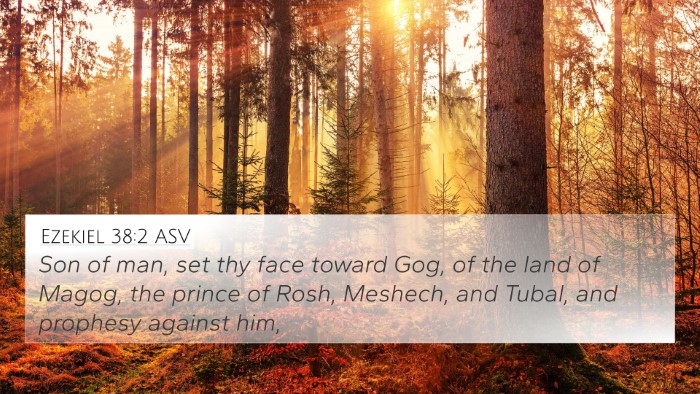 Ezekiel 38:2 ASV Bible Verse Image