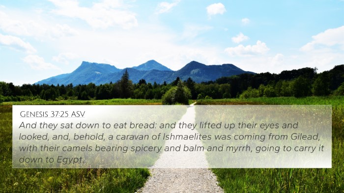 Genesis 37:25 ASV 4K Wallpaper - And they sat down to eat bread: and they lifted - 4K Wallpaper Bible Verse