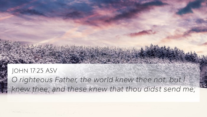 John 17:25 ASV Bible Verse Image