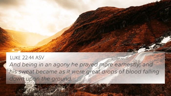 Luke 22:44 ASV 4K Wallpaper - And being in an agony he prayed more earnestly; - 4K Wallpaper Bible Verse