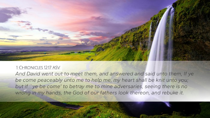 1 Chronicles 12:17 ASV Desktop Wallpaper - And David went out to meet them, and answered and - Desktop Bible Verse Wallpaper