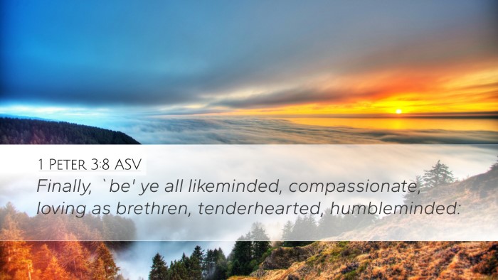 1 Peter 3:8 ASV Desktop Wallpaper - Finally, `be' ye all likeminded, compassionate, - Desktop Bible Verse Wallpaper