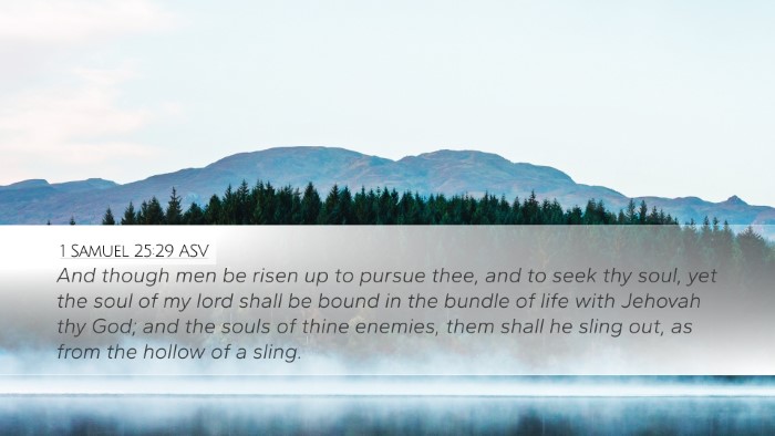 1 Samuel 25:29 ASV Desktop Wallpaper - And though men be risen up to pursue thee, and to - Desktop Bible Verse Wallpaper