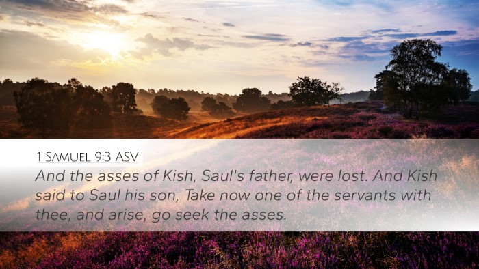 1 Samuel 9:3 ASV Desktop Wallpaper - And the asses of Kish, Saul's father, were lost. - Desktop Bible Verse Wallpaper