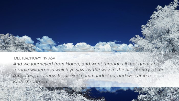 Deuteronomy 1:19 ASV Desktop Wallpaper - And we journeyed from Horeb, and went through all - Desktop Bible Verse Wallpaper