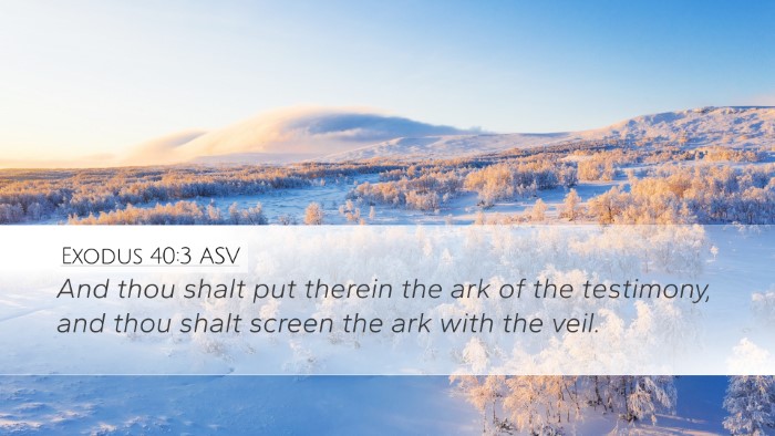 Exodus 40:3 ASV Desktop Wallpaper - And thou shalt put therein the ark of the - Desktop Bible Verse Wallpaper