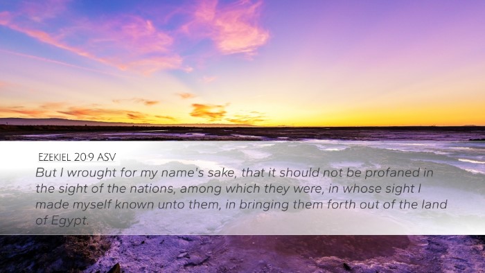 Ezekiel 20:9 ASV Desktop Wallpaper - But I wrought for my name's sake, that it should - Desktop Bible Verse Wallpaper