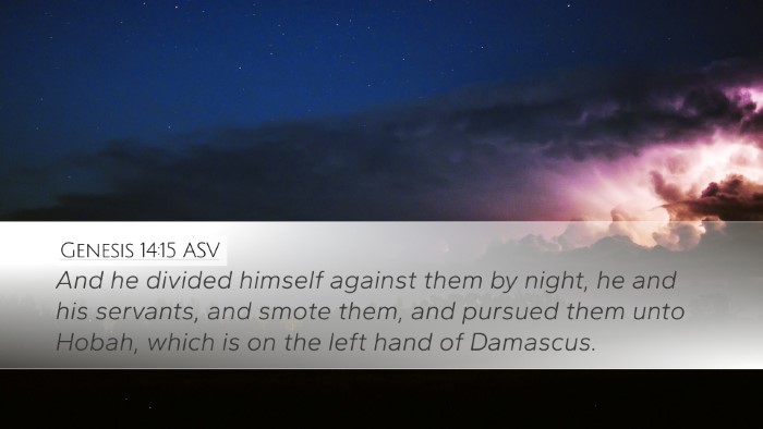 Genesis 14:15 ASV Desktop Wallpaper - And he divided himself against them by night, he - Desktop Bible Verse Wallpaper