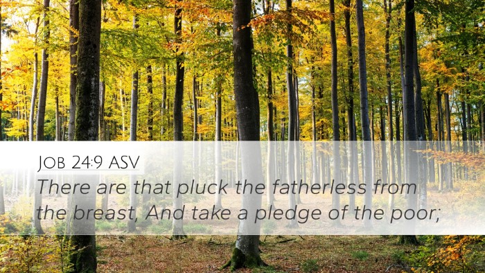 Job 24:9 ASV Bible Verse Image