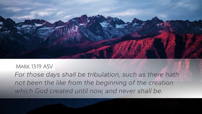 Mark 13:19 ASV Desktop Wallpaper - For those days shall be tribulation, such as - Desktop Bible Verse Wallpaper