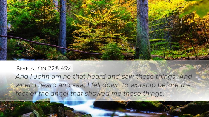 Revelation 22:8 ASV Bible Verse Image