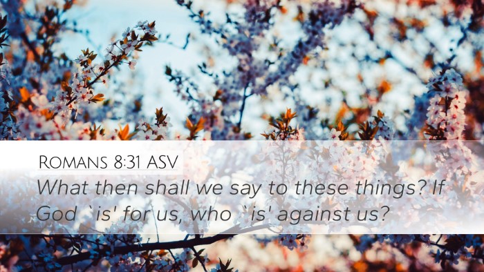 Romans 8:31 ASV Desktop Wallpaper - What then shall we say to these things? If God - Desktop Bible Verse Wallpaper