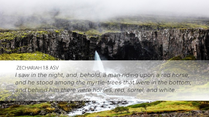 Zechariah 1:8 ASV Desktop Wallpaper - I saw in the night, and, behold, a man riding - Desktop Bible Verse Wallpaper