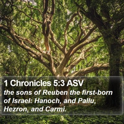 1 Chronicles 5:3 ASV Bible Verse Image