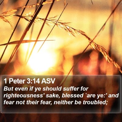 1 Peter 3:14 ASV Bible Verse Image