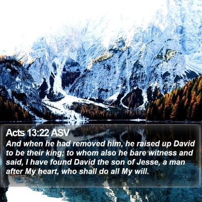 Acts 13:22 ASV Bible Verse Image