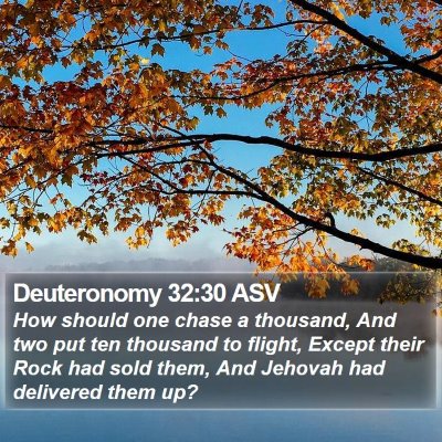 Deuteronomy 32:30 ASV Bible Verse Image