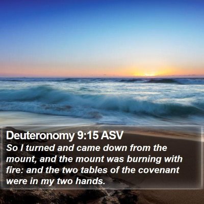 Deuteronomy 9:15 ASV Bible Verse Image