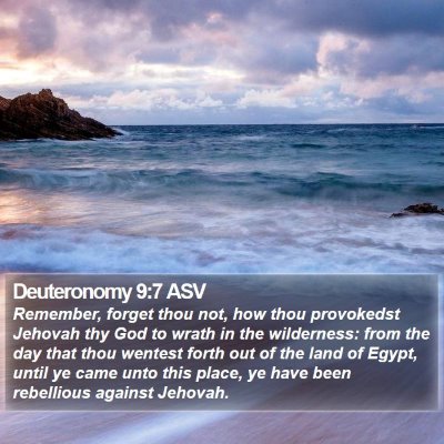 Deuteronomy 9:7 ASV Bible Verse Image