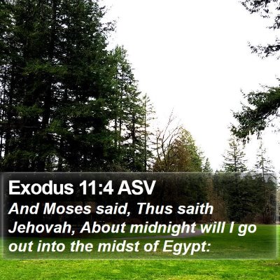 Exodus 11:4 ASV Bible Verse Image