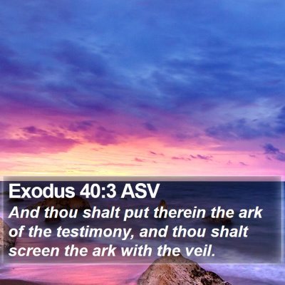 Exodus 40:3 ASV Bible Verse Image