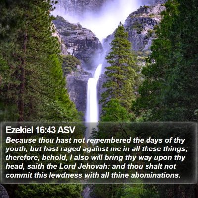 Ezekiel 16:43 ASV Bible Verse Image