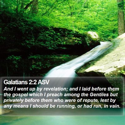 Galatians 2:2 ASV Bible Verse Image