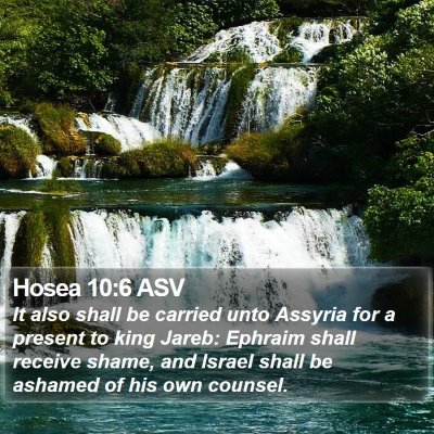 Hosea 10:6 ASV Bible Verse Image