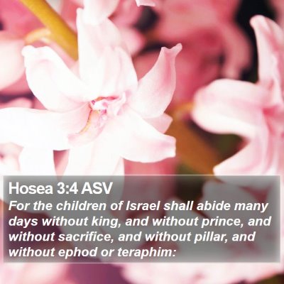 Hosea 3:4 ASV Bible Verse Image