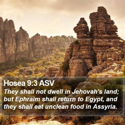 Hosea 9:3 ASV Bible Verse Image