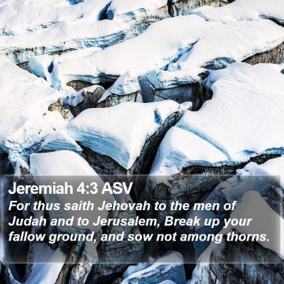 Jeremiah 4:3 ASV Bible Verse Image