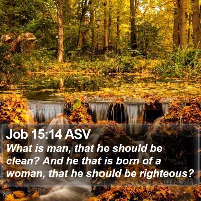 Job 15:14 ASV Bible Verse Image