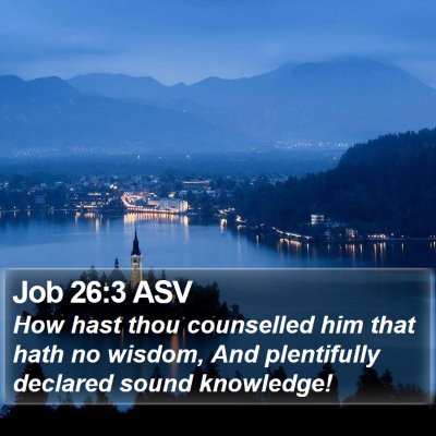 Job 26:3 ASV Bible Verse Image