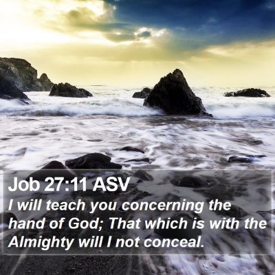 Job 27:11 ASV Bible Verse Image