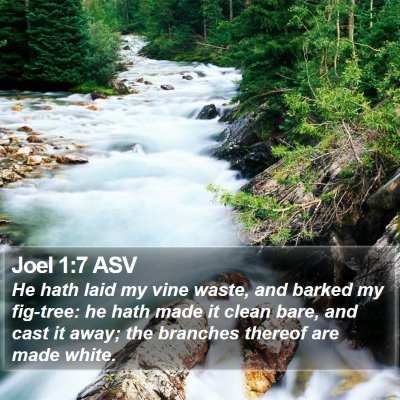 Joel 1:7 ASV Bible Verse Image