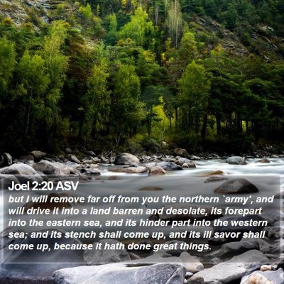 Joel 2:20 ASV Bible Verse Image