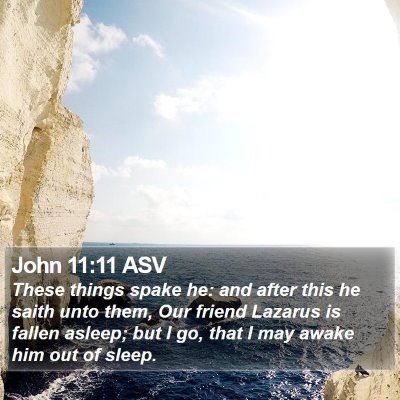 John 11:11 ASV Bible Verse Image