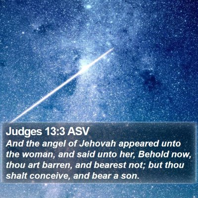 Judges 13:3 ASV Bible Verse Image