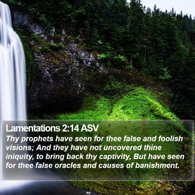 Lamentations 2:14 ASV Bible Verse Image