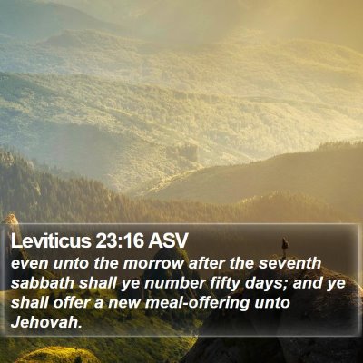 Leviticus 23:16 ASV Bible Verse Image