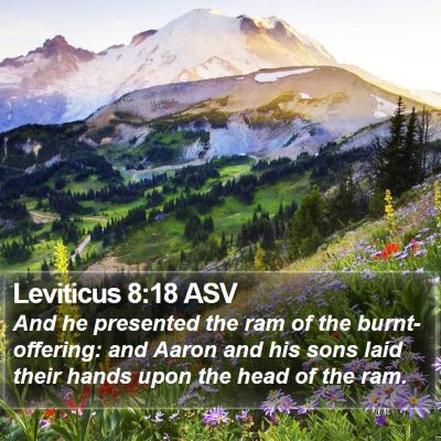 Leviticus 8:18 ASV Bible Verse Image