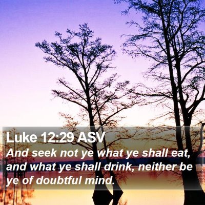 Luke 12:29 ASV Bible Verse Image