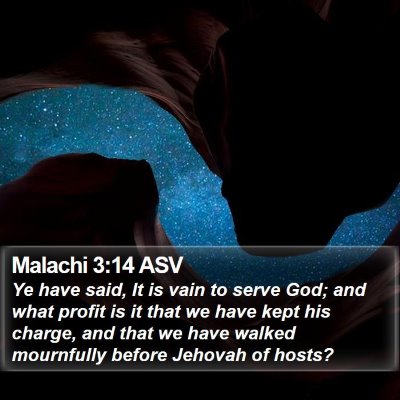 Malachi 3:14 ASV Bible Verse Image